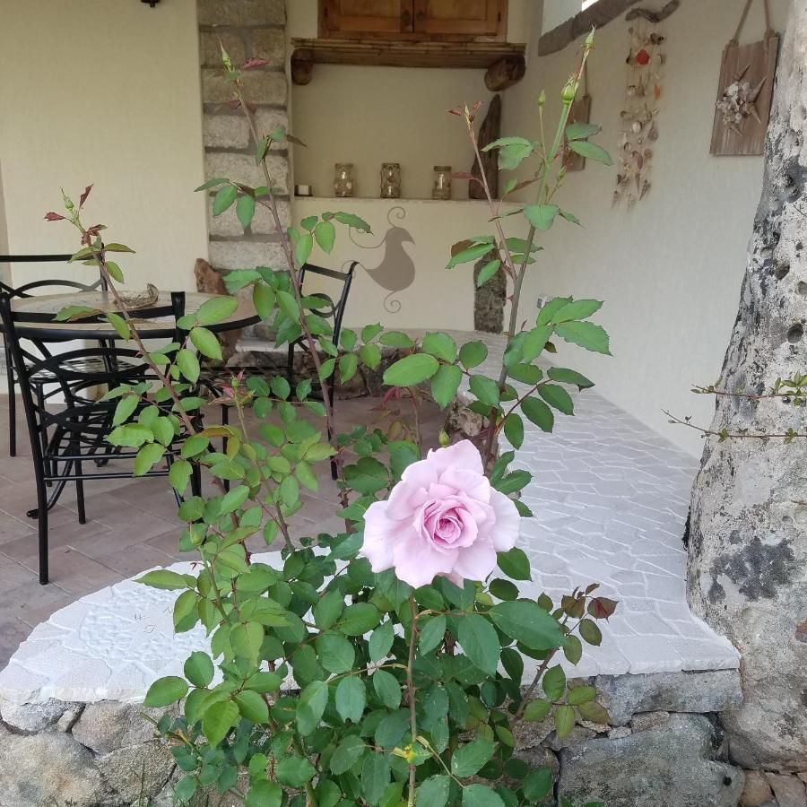 Nonna Pasqualina B&B Santa Teresa Gallura Εξωτερικό φωτογραφία